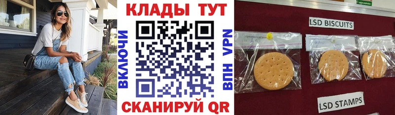 Виды наркотиков купить Бирюч Канабис  КОКАИН  ГАШ  А ПВП  МЕФ 