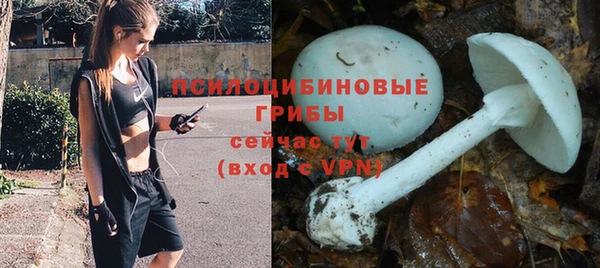 винт Алексеевка