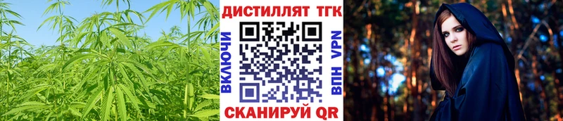 ТГК вейп Бирюч
