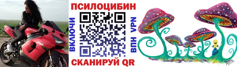 Псилоцибиновые грибы Cubensis  купить  цена  Бирюч 